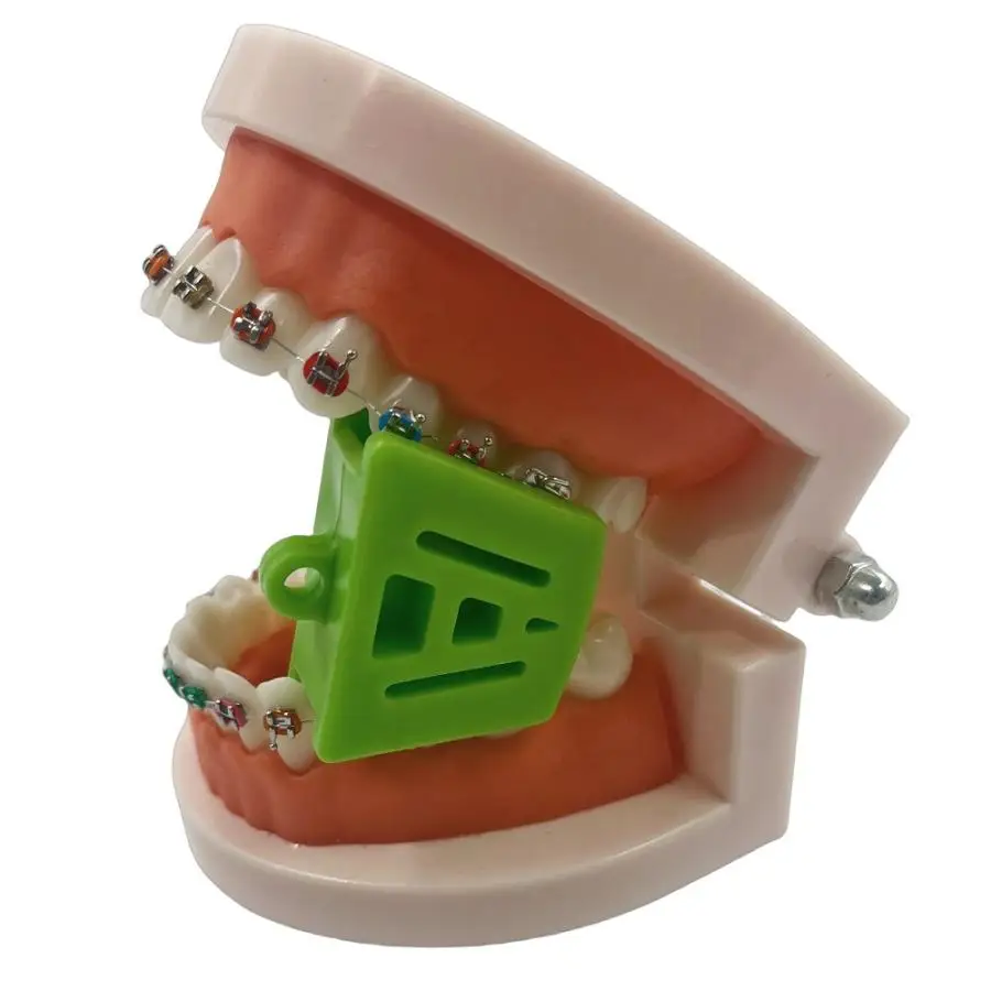 Accesorio para dientes, abrido - L Musical Instrument reseña y precio