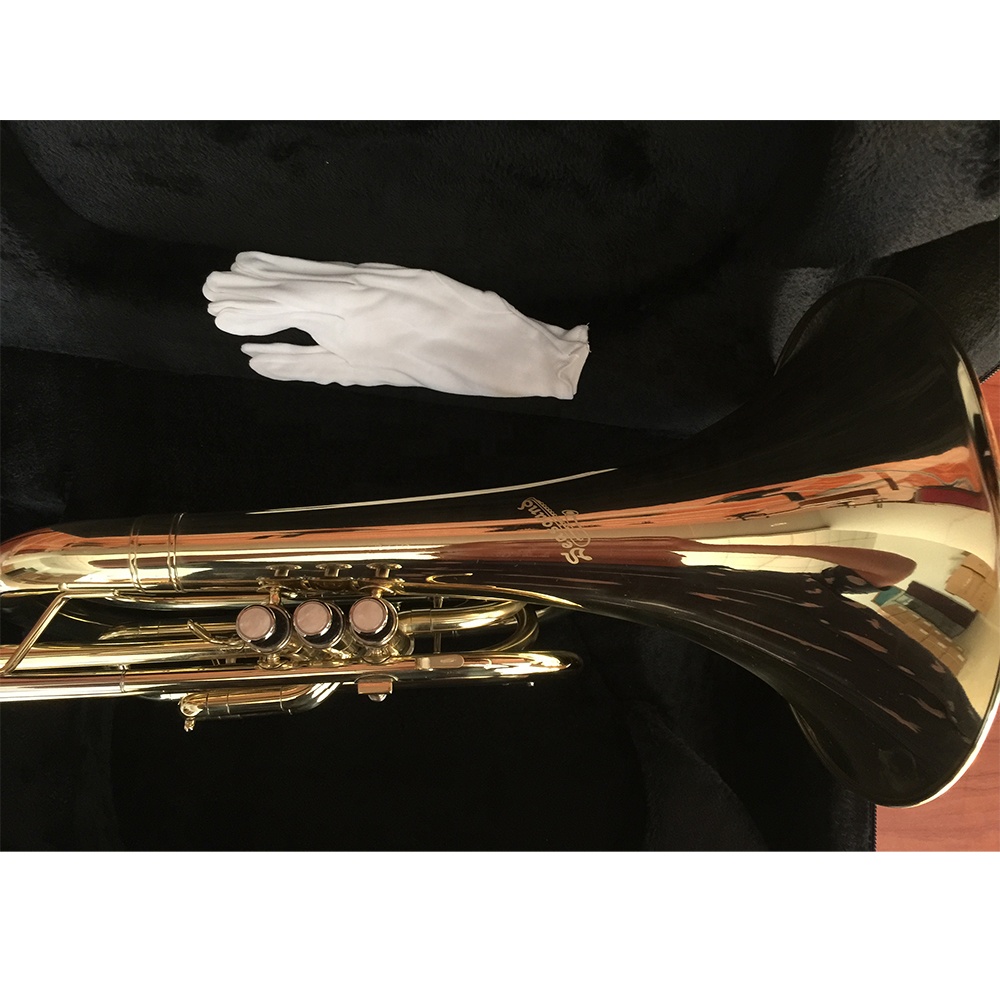 Trompa de Marcha Bb Lacada en  - Musical Instrument Horn reseña y precio