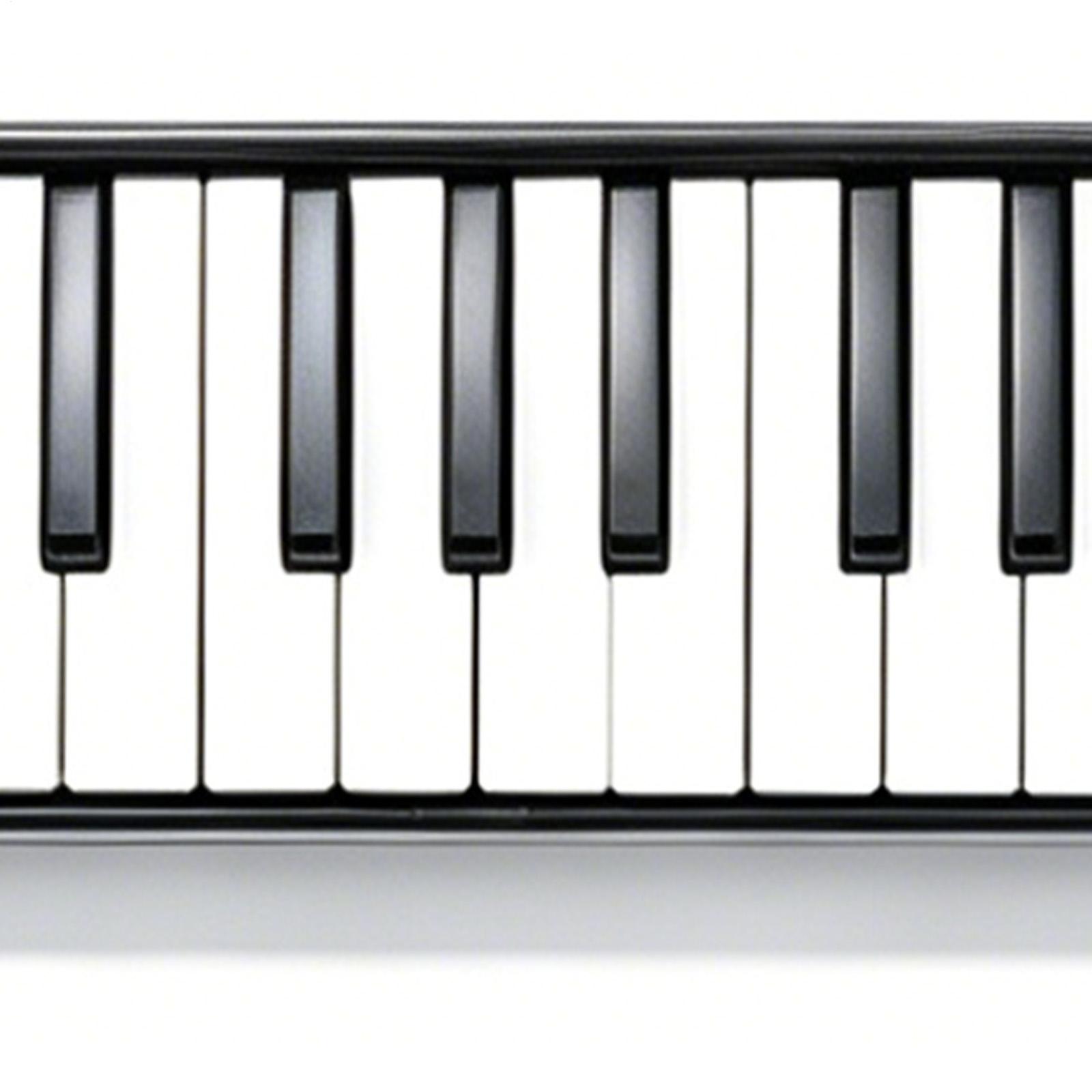 Instrumento Melodica, teclado  - Musical Instrument Long reseña y precio