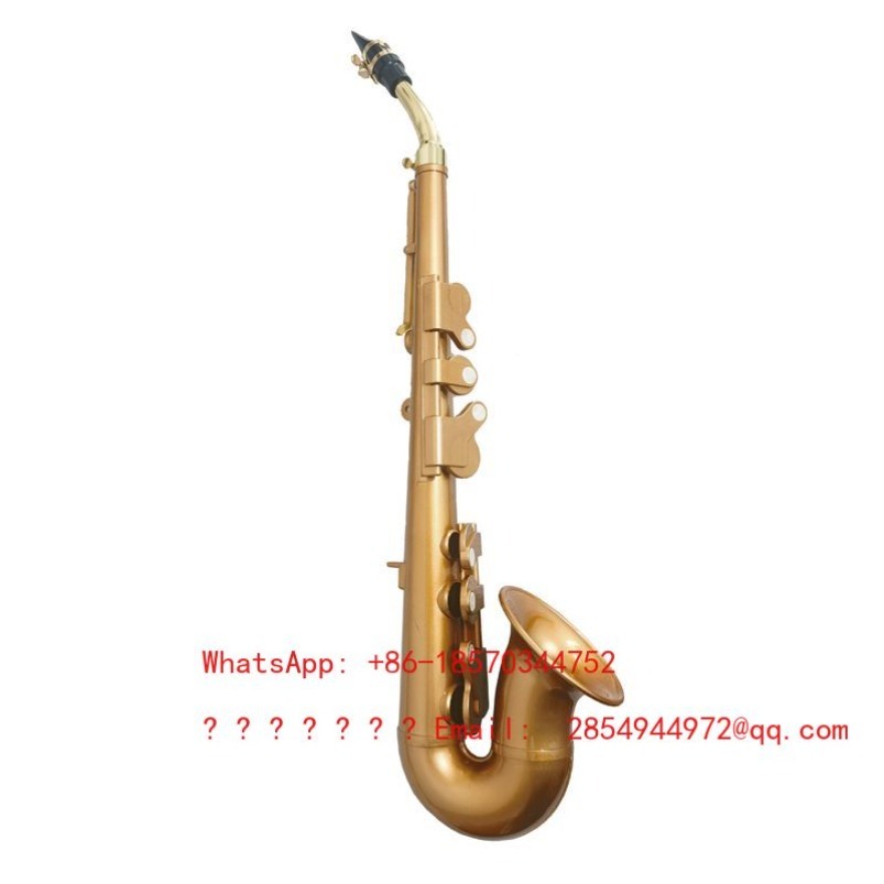 Saxofón de Resina, Instrumento - Musical Instrument Easy To Learn For Adults reseña y precio