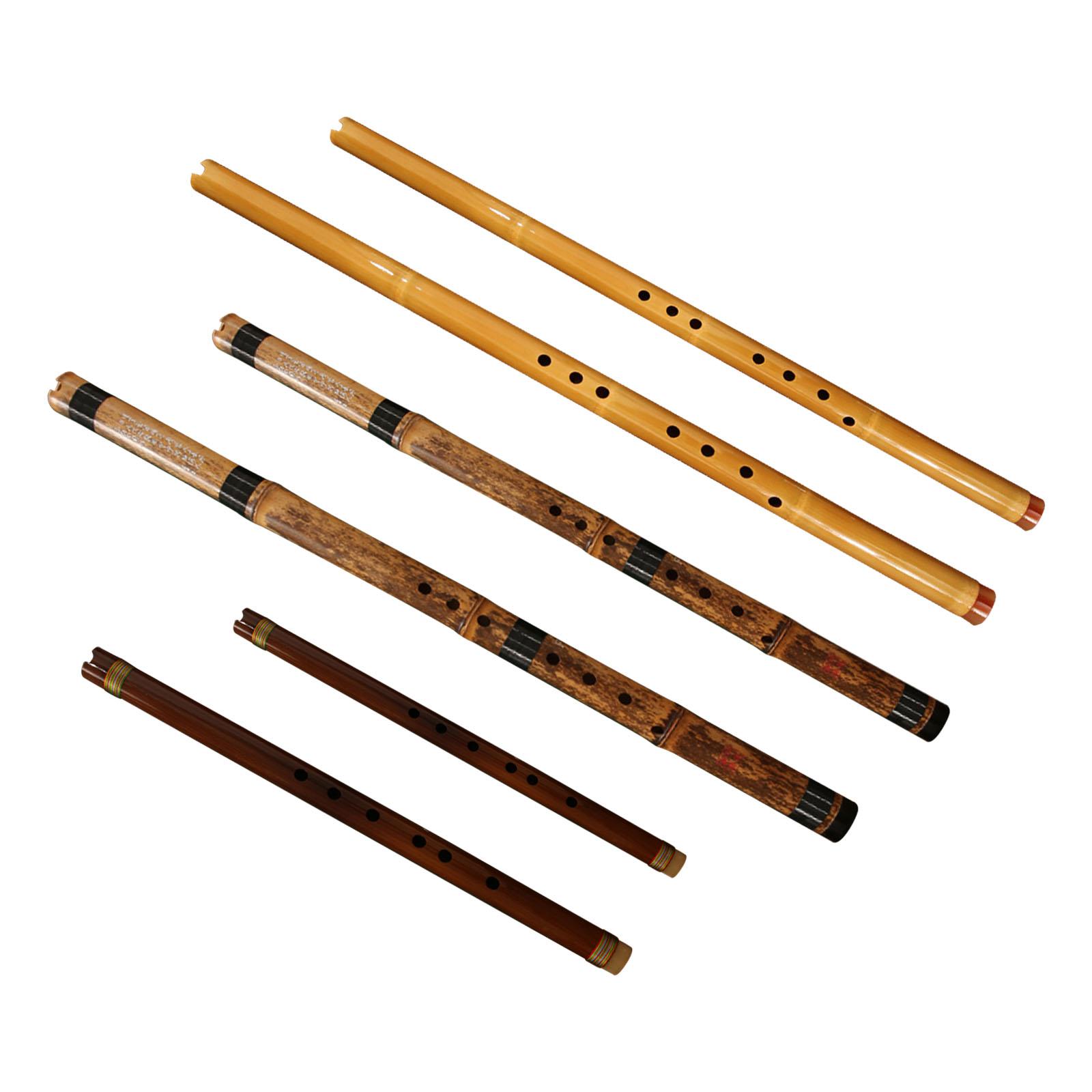 Flauta, Instrumento Musical Cl - Musical Instrument Easy To Learn For Adults reseña y precio