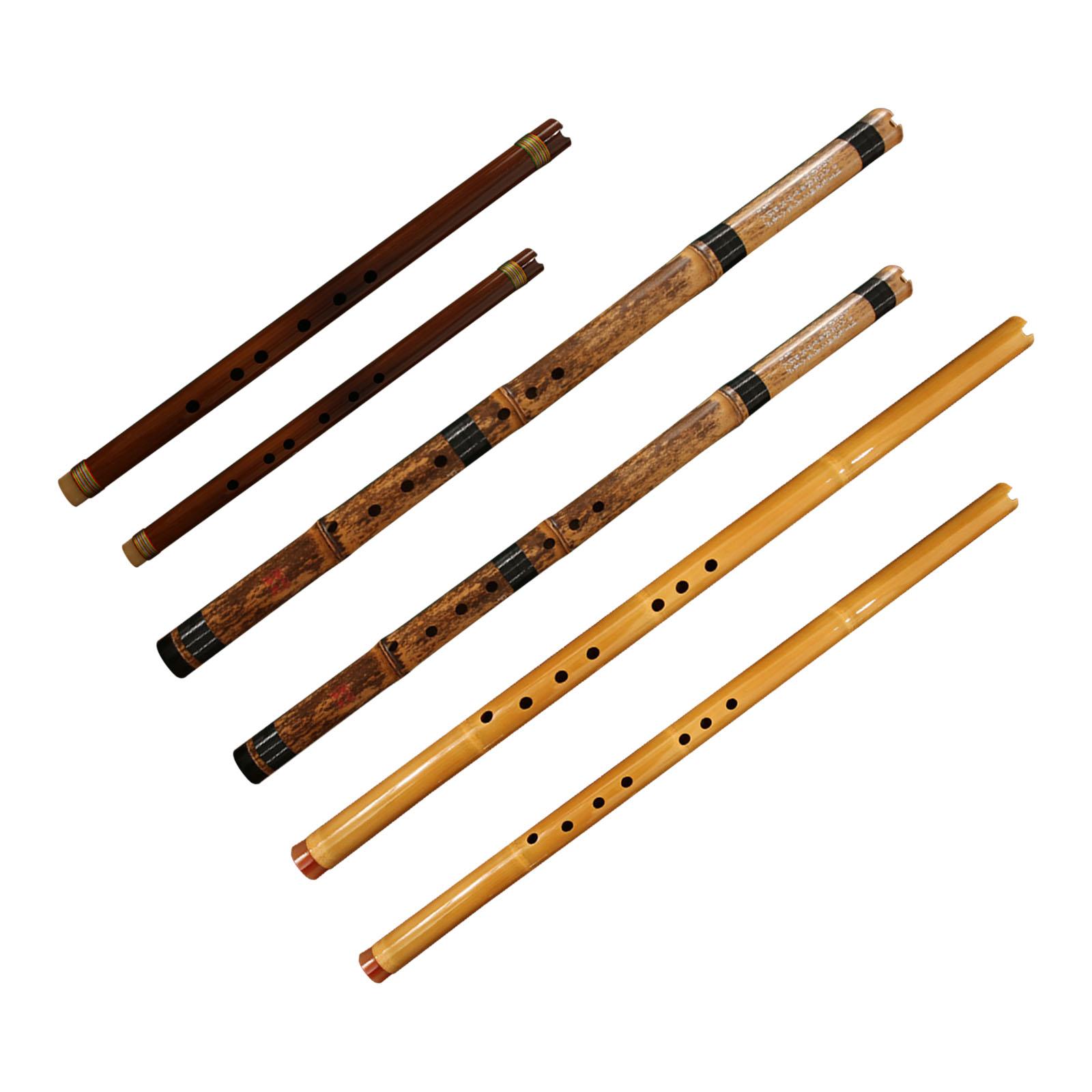 Flauta, Instrumento Musical Cl - Musical Instrument Easy To Learn For Adults reseña y precio